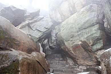 动作冒险游戏《血清》现已提供试玩Demo 24年第二季度推出抢先体验